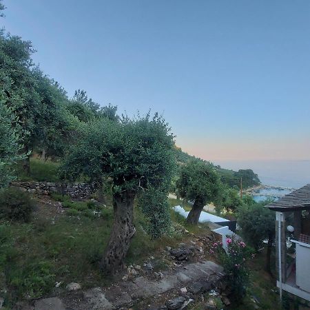 Dionysos Hotel Skala Potamia (Thasos) Exterior foto