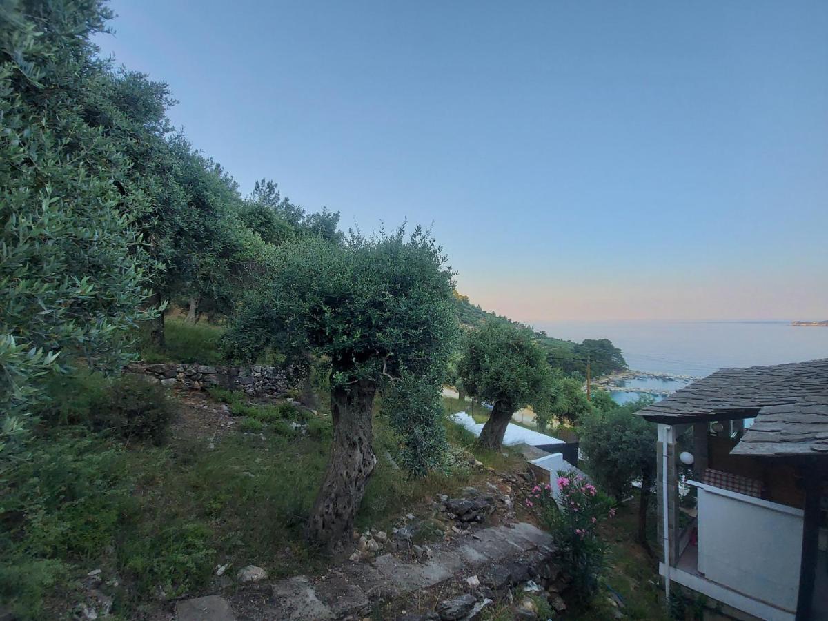 Dionysos Hotel Skala Potamia (Thasos) Exterior foto